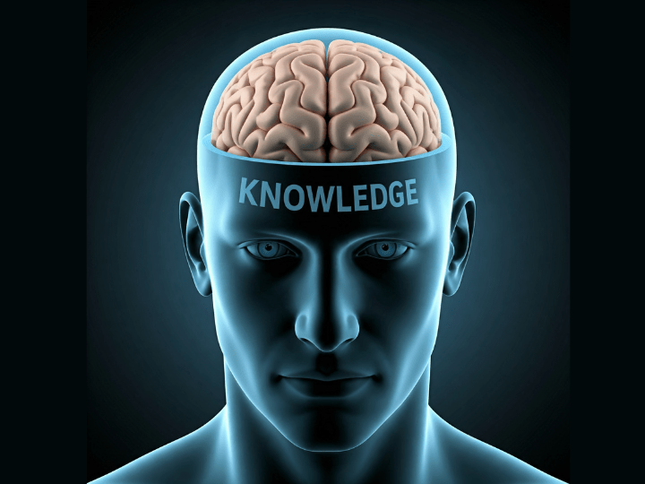 Taking Hold of Market Knowledge&nbsp;Expanders